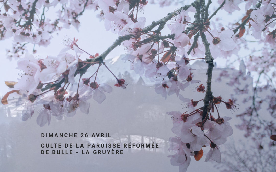 culte du 26 avril 2020