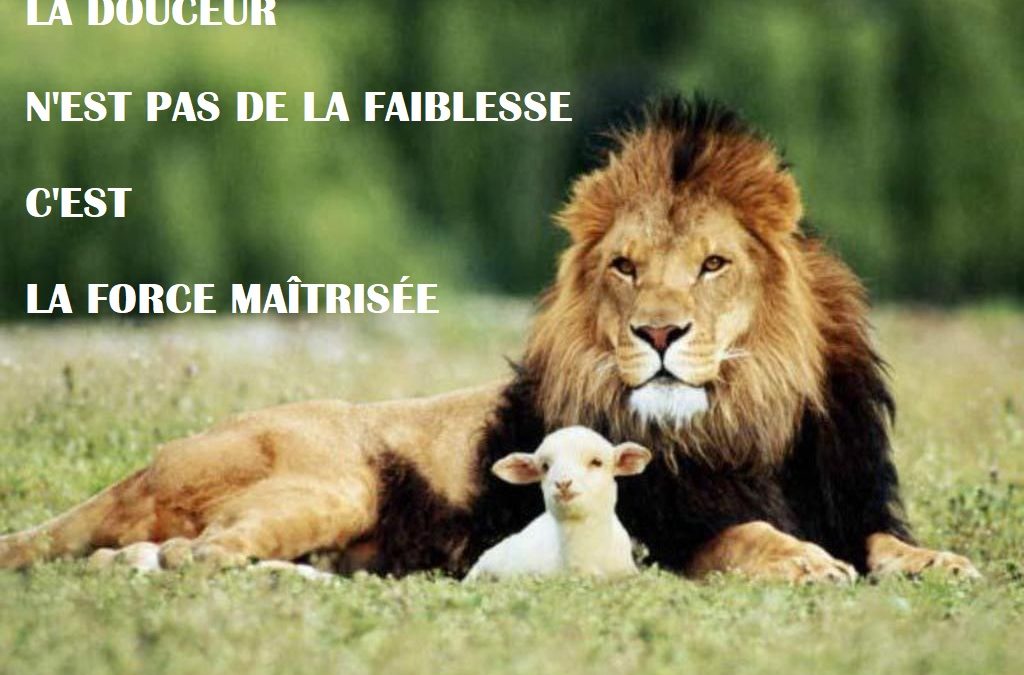 culte du  31 janvier 21