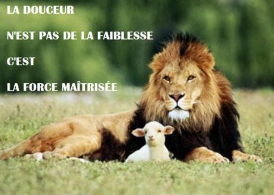culte du  31 janvier 21