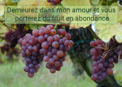 culte du  24 janvier 21