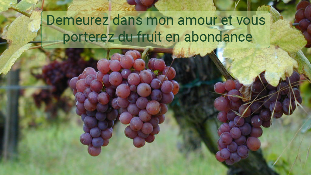 culte du  24 janvier 21