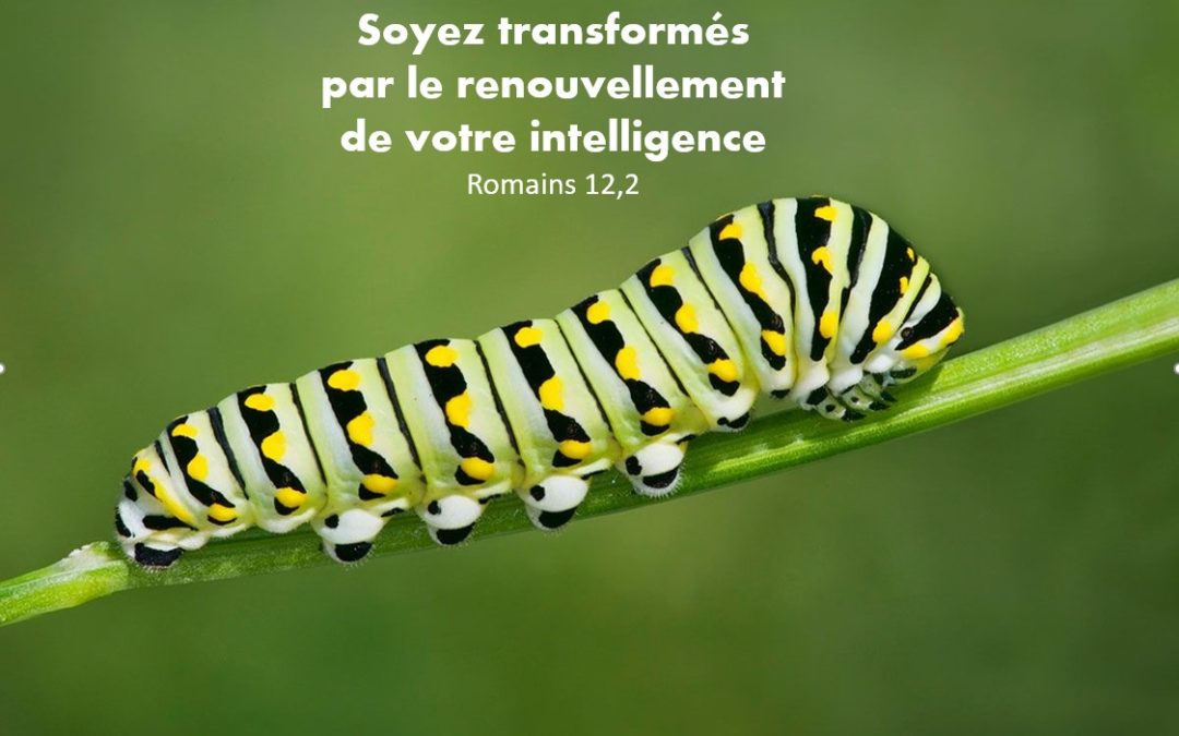 culte du  9 mai 21