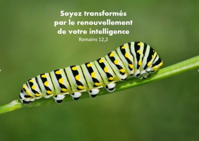 culte du  9 mai 21