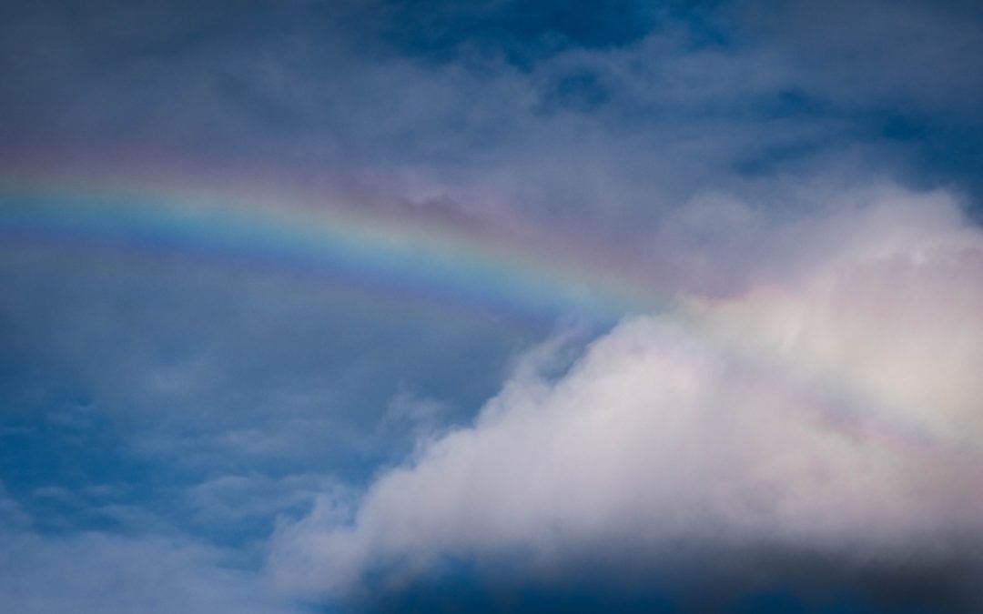 Nuage de mots