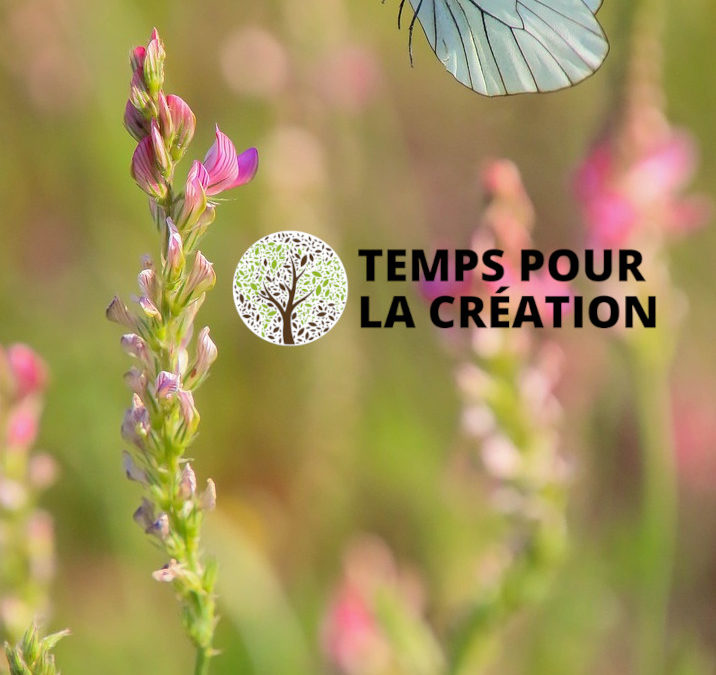 Temps pour la Création